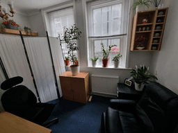 Clinical Hypnotherapy - Online