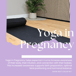 Pregnancy Yoga Private Session -Online