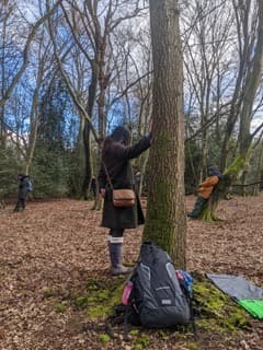 Nature Immersion Journey