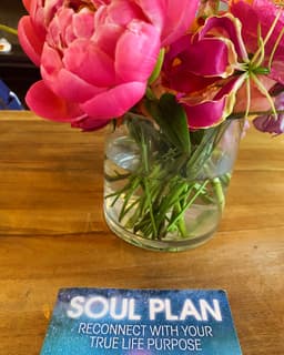 Soul Plan Reading