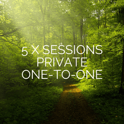 5x Private One-to-One Sessions